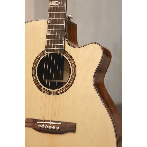 Fonzo V-201S OM Cutaway